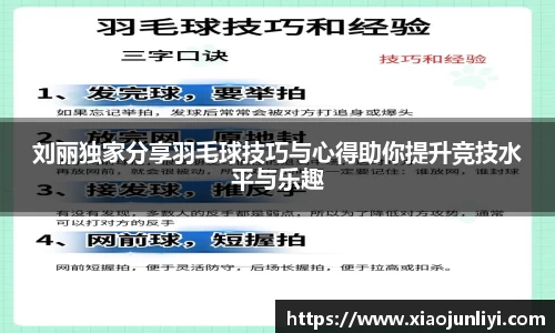 刘丽独家分享羽毛球技巧与心得助你提升竞技水平与乐趣